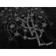 2022AW JACKET LIMITED TIME SALE YSL YVE SAINT LAURENT 2022AW JACKET LIMITED TIME SALE YSL YVE SAINT LAURENT