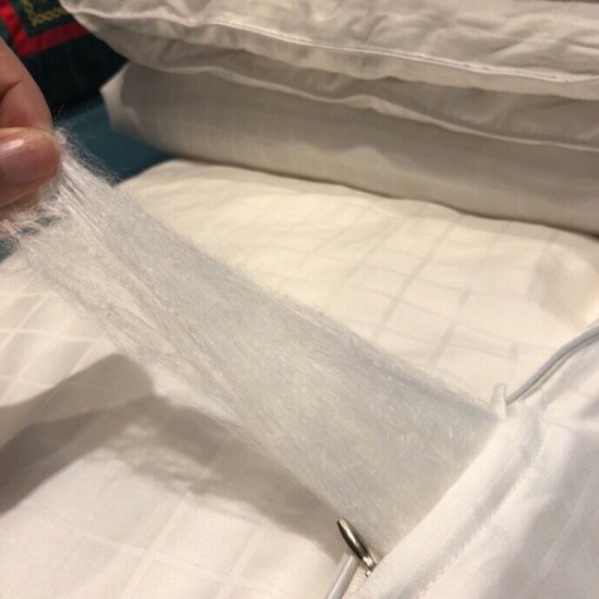 2022AW Bedding HUGO BOSS HUGO BOSS TIMELESS 2022AW Bedding HUGO BOSS HUGO BOSS TIMELESS