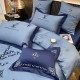 LOUIS VUITTON Louis Vuitton Bedding 2022SS Limited Quantity VIP Price LOUIS VUITTON Louis Vuitton Bedding 2022SS Limited Quantity VIP Price
