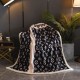 LOUIS VUITTON Louis Vuitton blanket 2022SS full of popularity LOUIS VUITTON Louis Vuitton blanket 2022SS full of popularity