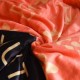 LOUIS VUITTON Louis Vuitton blanket 2022SS support soars LOUIS VUITTON Louis Vuitton blanket 2022SS support soars