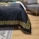 VERSACE Versace Bedding 2022SS Excellent Color VERSACE Versace Bedding 2022SS Excellent Color