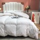 2022AW New limited gorgeous cute bedding VERSACE Versace 2022AW New limited gorgeous cute bedding VERSACE Versace