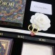 This autumn is decided DIOR Dior 2022AW brooch This autumn is decided DIOR Dior 2022AW brooch