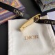 Last Fall/Winter Collection DIOR Dior 2022AW Brooch Last Fall/Winter Collection DIOR Dior 2022AW Brooch