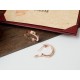 Best system item CARTIER Cartier 2022AW earrings Best system item CARTIER Cartier 2022AW earrings