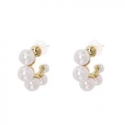 Popularity confirmed 2022 CELINE Celine earrings