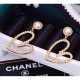 Latest work 2022 CELINE Celine earrings Latest work 2022 CELINE Celine earrings