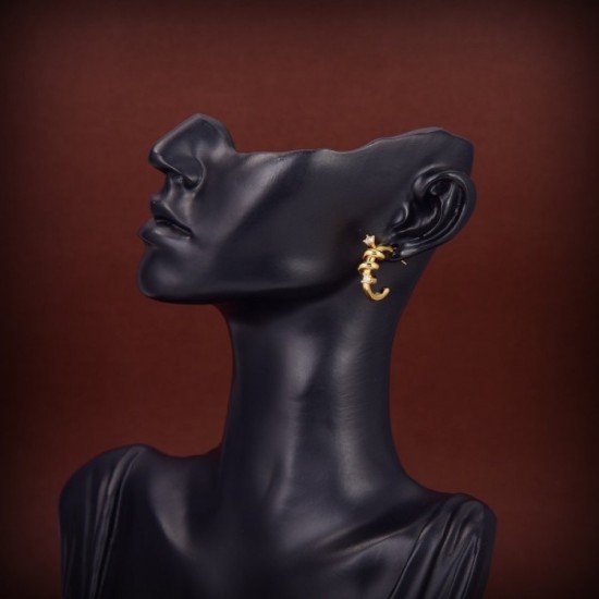 Bargain 2022 CELINE Celine Earrings Bargain 2022 CELINE Celine Earrings