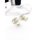 Spring / Summer popular new 2022 CHANEL Chanel earrings Spring / Summer popular new 2022 CHANEL Chanel earrings