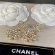 Outstanding freshness 2022 CHANEL Chanel earrings Outstanding freshness 2022 CHANEL Chanel earrings