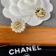 Super special price limited quantity 2022 CHANEL Chanel earrings Super special price limited quantity 2022 CHANEL Chanel earrings