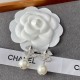 Popular restock sale 2022 CHANEL Chanel earrings Popular restock sale 2022 CHANEL Chanel earrings