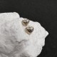 High quality popular item 2022 CHANEL Chanel earrings High quality popular item 2022 CHANEL Chanel earrings