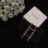 Now the attention is rising 2022 CHANEL Chanel earrings