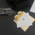 Classic popular model 2022 CHANEL Chanel earrings