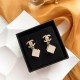 Longing brand 2022 CHANEL Chanel earrings Longing brand 2022 CHANEL Chanel earrings