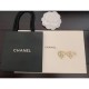 Spring / Summer Trend 2022 CHANEL Chanel Earrings Spring / Summer Trend 2022 CHANEL Chanel Earrings