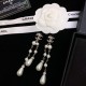Unique existence 2022 CHANEL Chanel earrings Unique existence 2022 CHANEL Chanel earrings