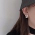 Keep an eye on the autumn new work CHANEL Chanel 2022AW Earrings