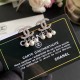 A must-see for fans in the fall and winter new CHANEL Chanel 2022AW earrings A must-see for fans in the fall and winter new CHANEL Chanel 2022AW earrings