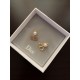 New Limited Edition Print 2022 DIOR Dior Earrings New Limited Edition Print 2022 DIOR Dior Earrings