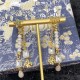 Popular Spring / Summer Collection 2022 DIOR Dior Earrings Popular Spring / Summer Collection 2022 DIOR Dior Earrings