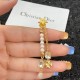 Popular Spring / Summer Collection 2022 DIOR Dior Earrings Popular Spring / Summer Collection 2022 DIOR Dior Earrings