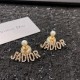 New Spring / Summer VIPSALE 2022 DIOR Dior Earrings New Spring / Summer VIPSALE 2022 DIOR Dior Earrings