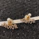 New Spring / Summer VIPSALE 2022 DIOR Dior Earrings New Spring / Summer VIPSALE 2022 DIOR Dior Earrings
