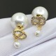 Ranking 1st place 2022 DIOR Dior earrings Ranking 1st place 2022 DIOR Dior earrings
