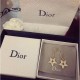 New Spring / Summer 2022 DIOR Dior Earrings New Spring / Summer 2022 DIOR Dior Earrings