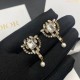 Spring Summer Trend NO1 2022 DIOR Dior Earrings Spring Summer Trend NO1 2022 DIOR Dior Earrings