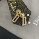 Recommended new 2022 DIOR Dior earrings for the summer of the year Recommended new 2022 DIOR Dior earrings for the summer of the year