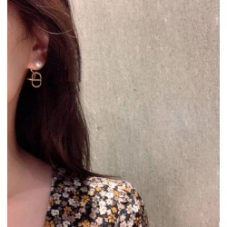 Latest collaboration sold out 2022 DIOR Dior earrings