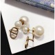 Latest collaboration sold out 2022 DIOR Dior earrings Latest collaboration sold out 2022 DIOR Dior earrings