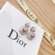Dare to see through style 2022 DIOR Dior earrings Dare to see through style 2022 DIOR Dior earrings