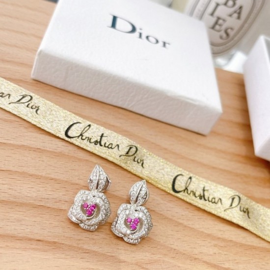 Dare to see through style 2022 DIOR Dior earrings Dare to see through style 2022 DIOR Dior earrings