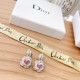 Dare to see through style 2022 DIOR Dior earrings Dare to see through style 2022 DIOR Dior earrings