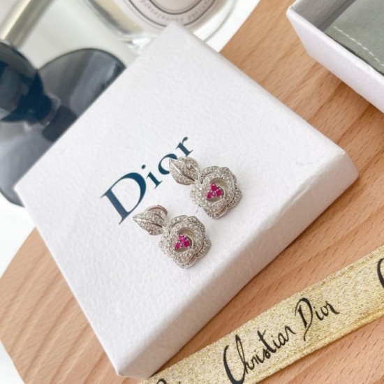 Dare to see through style 2022 DIOR Dior earrings Dare to see through style 2022 DIOR Dior earrings