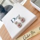 Dare to see through style 2022 DIOR Dior earrings Dare to see through style 2022 DIOR Dior earrings