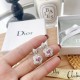 Dare to see through style 2022 DIOR Dior earrings Dare to see through style 2022 DIOR Dior earrings