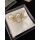 Trend Style 2022 DIOR Dior Earrings Trend Style 2022 DIOR Dior Earrings