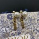 Stupid selling continues 2022 DIOR Dior earrings Stupid selling continues 2022 DIOR Dior earrings
