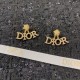 Explosive popularity restock 2022 DIOR Dior earrings Explosive popularity restock 2022 DIOR Dior earrings