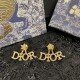Explosive popularity restock 2022 DIOR Dior earrings Explosive popularity restock 2022 DIOR Dior earrings