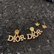Explosive popularity restock 2022 DIOR Dior earrings Explosive popularity restock 2022 DIOR Dior earrings