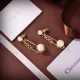 Special price new limited 2022 DIOR Dior earrings Special price new limited 2022 DIOR Dior earrings