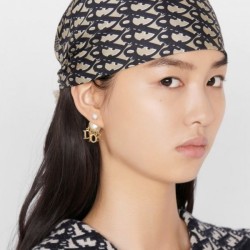 Classic popular thin soft 2022 DIOR Dior earrings