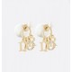 Classic popular thin soft 2022 DIOR Dior earrings Classic popular thin soft 2022 DIOR Dior earrings